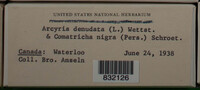 Image Associated With the Occurence